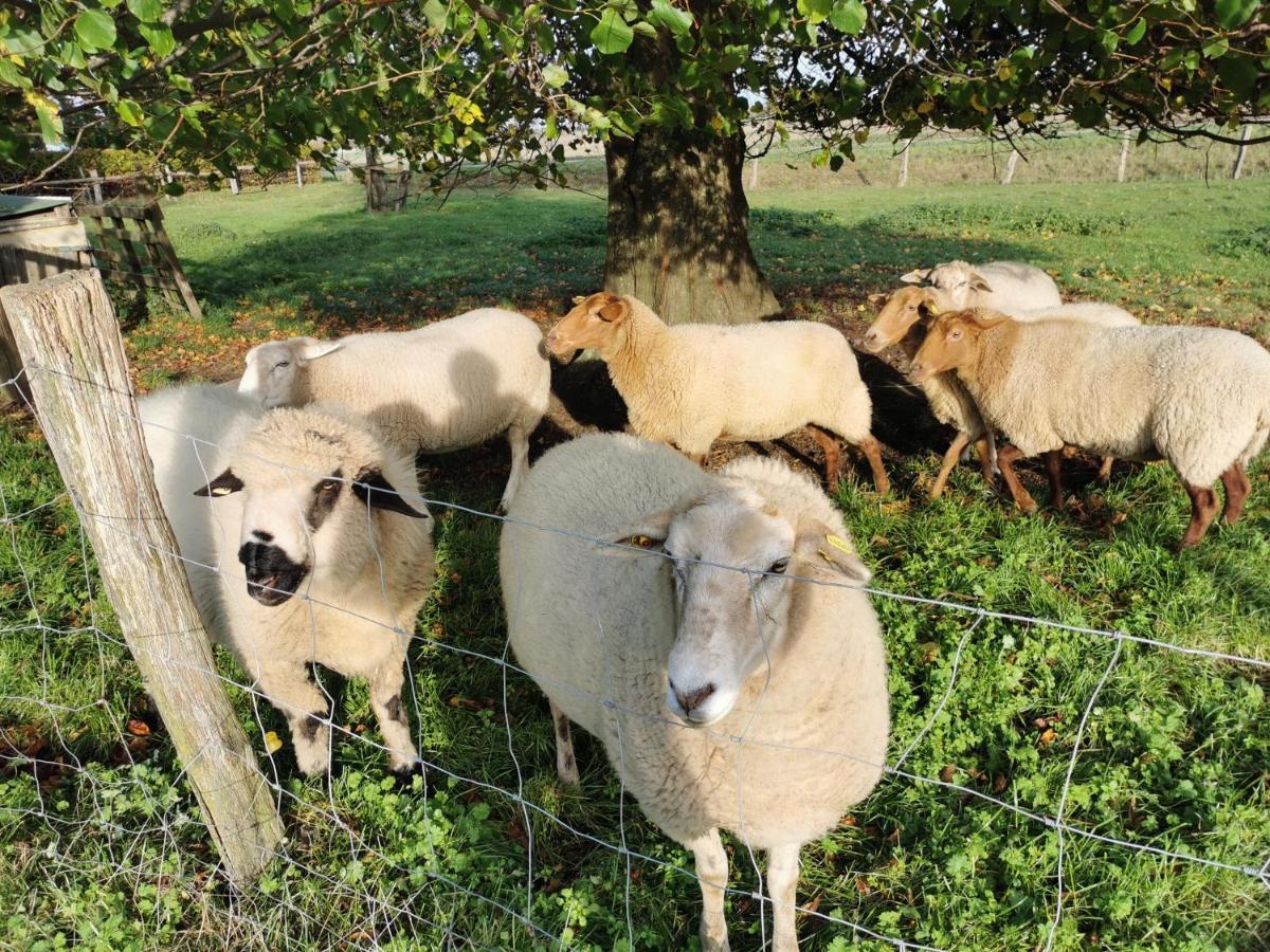 Ferienhof Stobbe Grube Zewnętrze zdjęcie